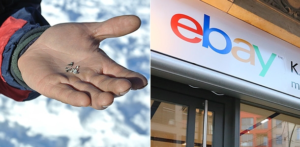 ����: ����-����, GLOBAL LOOK press