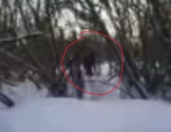 Кемеровские школьники засняли на видео снежного человека
